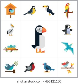 Birds Icon Set