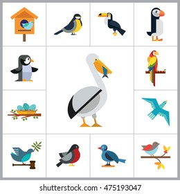 Birds Icon Set