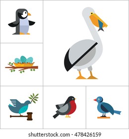 Birds Icon Set