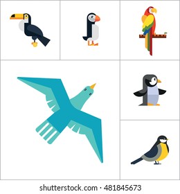 Birds Icon Set