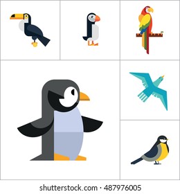 Birds Icon Set