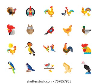 Birds icon set