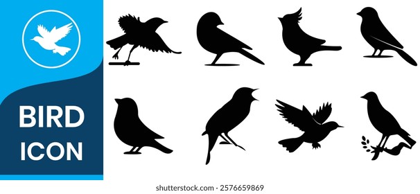 Birds icon  set. fly illustration sign collection. nature symbol. Bird's black silhouettes set. bird silhouettes on white background