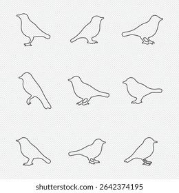 Birds icon set. fly illustration sign collection. nature symbol. Bird's black silhouettes set. bird silhouettes on white background
