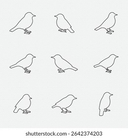 Birds icon set. fly illustration sign collection. nature symbol. Bird's black silhouettes set. bird silhouettes on white background