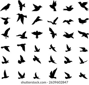 Birds icon set, Flying birds, animals, black silhouette, monochrome bird logo, abstract sticker on house wall or glass, Printable, protect birds from impact symbols, template designs art elements