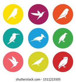 Birds icon set  on white background, sign design