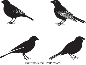 Birds icon vector image with illustration
