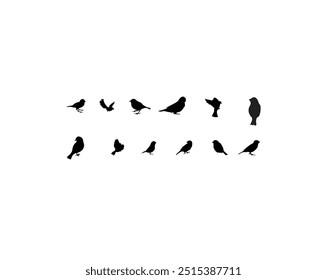 Birds icon vector set. fly illustration sign collection. nature symbol,Set of linear heraldic wings. Collection of black and white angel or bird wings with feathers. Design element for tattoo, logo or