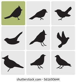 Birds icons
