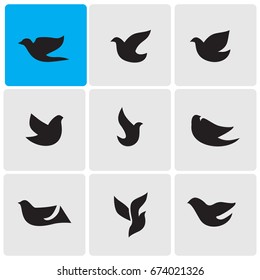 Birds icons