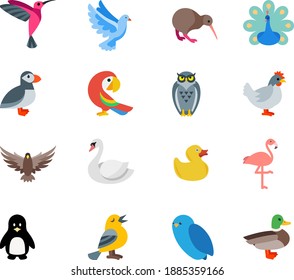 Birds icons of kingfisher dove pigeon kiwi peacock woodpecker parrot owl hen rooster cock eagle swan duck flamingo penguin sparrow with feather wings flying 