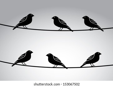 birds icons over gray background  vector illustration