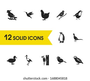 Birds icons set with cockatoo, stork and humming bird elements. Set of birds icons and goldfinch concept. Editable vector elements for logo app UI design.