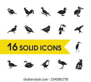 Birds icons set with crane bird, robin bird and duck elements. Set of birds icons and goose concept. Editable vector elements for logo app UI design.