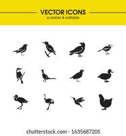 Birds icons set with crow bird, nightingale and bulbul elements. Set of birds icons and mallard concept. Editable vector elements for logo app UI design.
