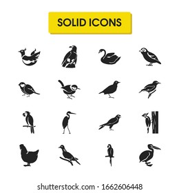 Birds icons set with eagle, macaw and turtledove elements. Set of birds icons and wagtail concept. Editable vector elements for logo app UI design.