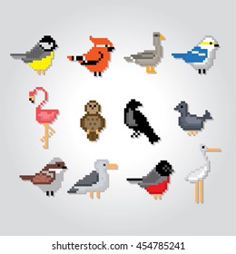 Birds icons set. Pixel art. Old school computer graphic style. Games elements.