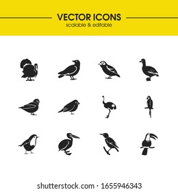 Birds icons set with toucan, weaver bird and goose elements. Set of birds icons and nightingale concept. Editable vector elements for logo app UI design.