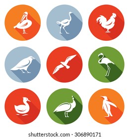 Birds Icons Set. Vector Illustration.