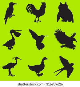 Birds. Icons set. Vector illustration