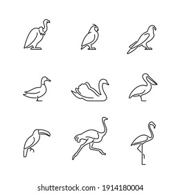 Iconos de pájaros establecidos. Ilustración vectorial de vida silvestre.