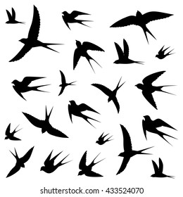 birds icons,vector illustration