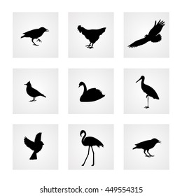 birds icons,vector illustration