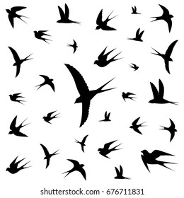 birds icons,vector illustration