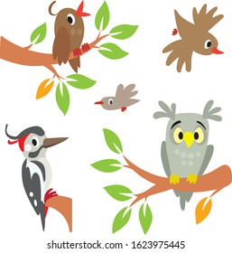 Birds. Illustration set, Owl, woodpecker and other