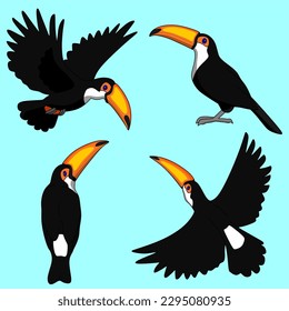 Vogelgrafik, Satz von Toucans, Vektorgrafiken auf blauem Hintergrund