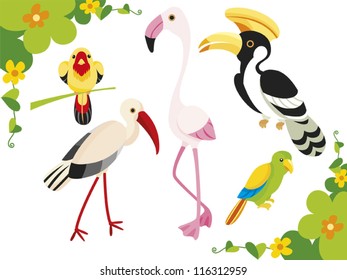 Birds illustration /Vector set of cartoon birds