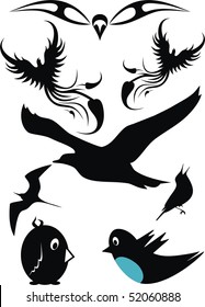 birds images