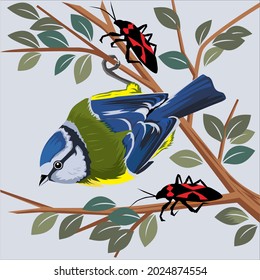 birds and insects on tree branches
