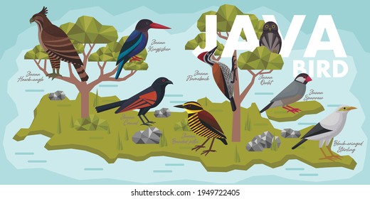 Aves de Java, vector plano endémico