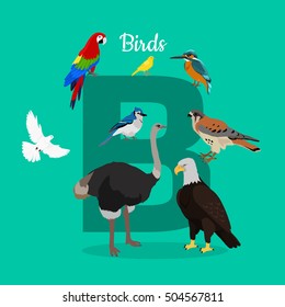 Birds Letter B Isolated On Green Stock Vector (Royalty Free) 504567811 ...