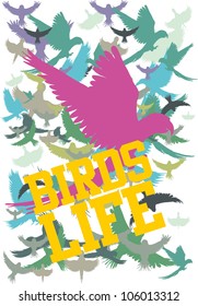 birds life