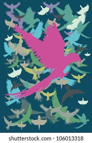 birds life