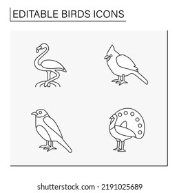 Birds line icons set. Different types of birds. Flamingos, cardinal, peacock, bluebird.Beautiful domestic and wild birds. Nature concept. Isolated vector illustrations. Editable stroke