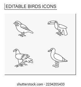 Birds line icons set. Different types of birds. Beautiful domestic and wild birds. Sparrow, toucan, eagle and seagull. Nature concept. Isolated vector illustrations. Editable stroke