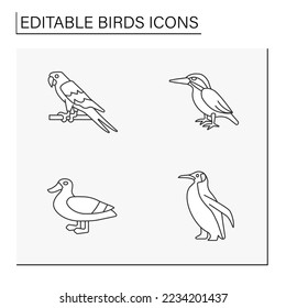 Birds line icons set. Different types of birds. Beautiful domestic and wild birds. Macaw, kingfisher, penguin, duck.Nature concept. Isolated vector illustrations. Editable stroke