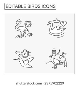  Birds line icons set. Different types of birds symbolize. Swan, flamingos, seagull and hummingbird. Nature concept. Isolated vector illustrations. Editable stroke