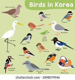 Birds living in South Korea. Vector isolated fifteen birds.