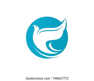 Birds logos vector