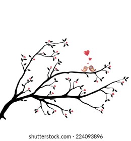 Birds in Love