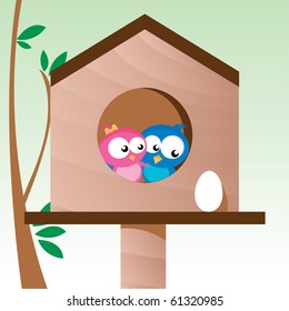 birds in love