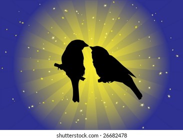 Birds in love vector
