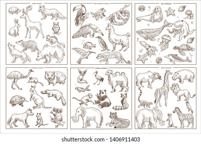 Birds mammals and amphibians wild animals species sketch icons vector forest and South American sea and Australian Asian and African creatures rabbit and deer sloth and leopard seal and whale kangaroo