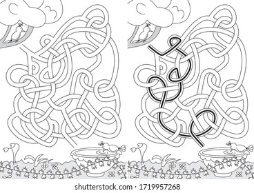 Birds maze for kids with a solution