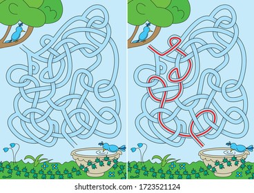 Birds maze for kids with a solution